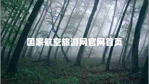 國(guó)家航空旅游網(wǎng)官網(wǎng)首頁(yè)