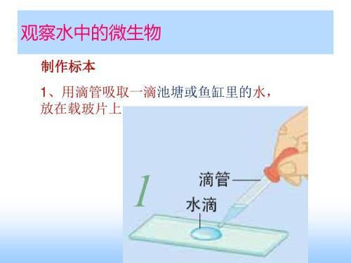 何為觀察常見的觀察方法有哪些