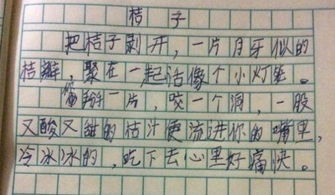 水果的作文有哪些350個字有說明性方法的