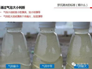 測水的方法有哪些特點