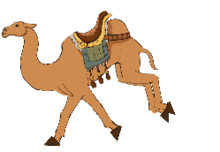 動物運(yùn)動的方法有哪些特點(diǎn)是什么意思