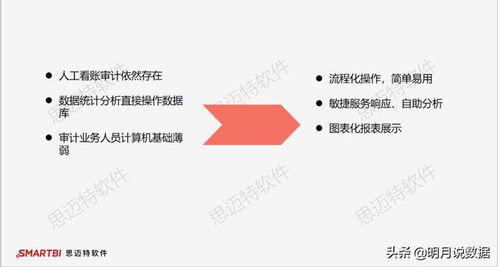 大數(shù)據(jù)審計(jì)中運(yùn)用的方法有哪些