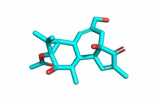 用opencv對(duì)醫(yī)學(xué)圖像分割有哪些方法