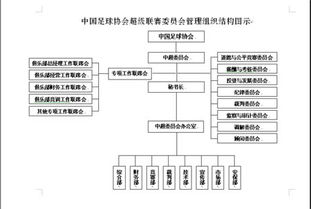 組織有什么分類方法有哪些內(nèi)容