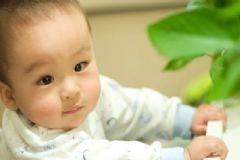 小孩子補(bǔ)鈣有哪些方法