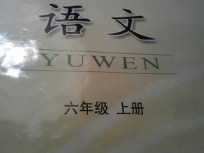 運(yùn)用了打比方說(shuō)明方法的句子有哪些
