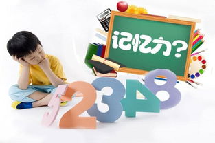 記憶專業(yè)訓(xùn)練方法有哪些