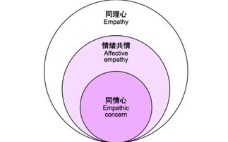 理論分析的方法有哪些特點是什么意思