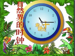 自然界的時(shí)鐘中采用了哪些說明方法