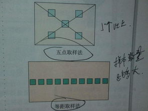 生物的調(diào)查方法有哪些內(nèi)容