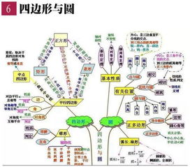 除了思維導(dǎo)圖還有哪些學(xué)生總結(jié)方法
