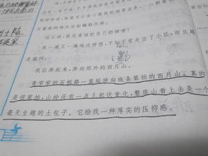第一段中的描寫方法有哪些內(nèi)容是什么意思