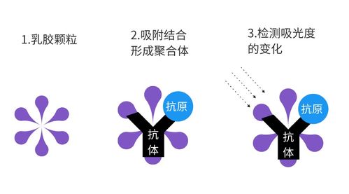 中間體方法學需做哪些