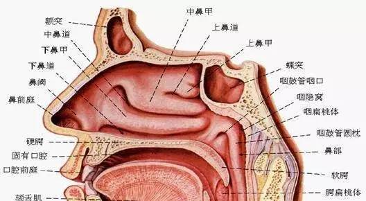 鼻炎癥狀緩解方法有哪些