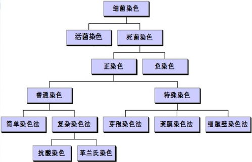 工業(yè)化培養(yǎng)細(xì)菌的方法有哪些
