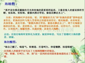 小學(xué)生常見(jiàn)寫作方法有哪些