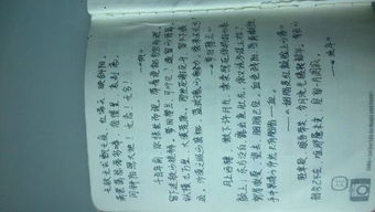 含有竹馬的詩句古詩