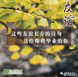 詩句,身后,友情