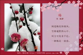 關(guān)于母愛是偉大的詩句