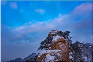 關于初雪的原創(chuàng)詩句