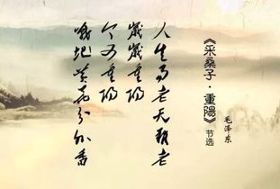 寫出關(guān)于節(jié)日風(fēng)俗的詩句