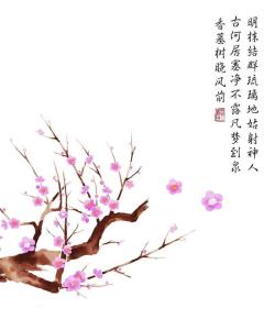 關(guān)于梅花花的詩句古詩大全