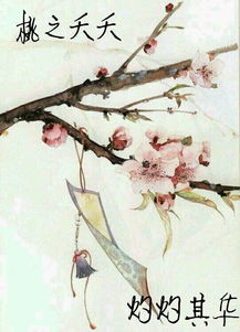 詩經(jīng)中關(guān)于愛情的詩句小學生