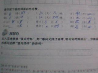 借比喻抒情的古詩句