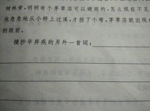 帶有四字的詩句有哪些,含有四字的詩句,四字詩句古風(fēng)