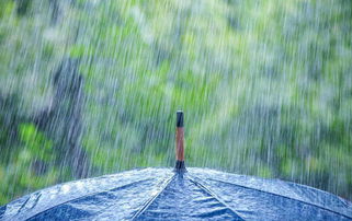 寫大雨滂沱的古詩,描寫大雨滂沱的古詩,大雨滂沱對應(yīng)的下句