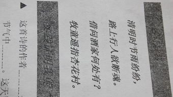 朝代,古詩,詩句,全有