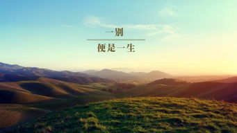 韋應物關于船的詩句