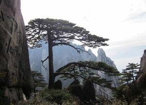 關(guān)于對(duì)山的贊美的詩句是什么