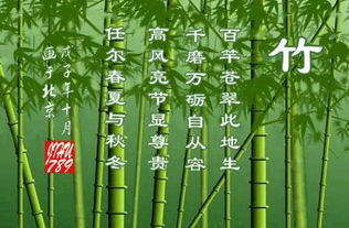 關(guān)于描寫(xiě)竹子和軍人關(guān)系的詩(shī)句