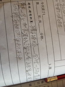關于貓的歇后語成語和詩句