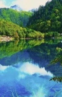 關(guān)于中國(guó)的美景的詩(shī)句