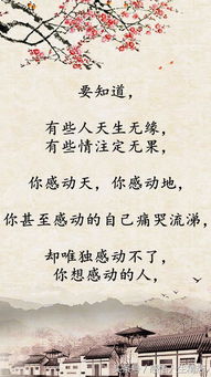 關(guān)于裁詩句
