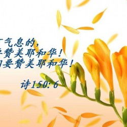 關于贊頌草的詩句