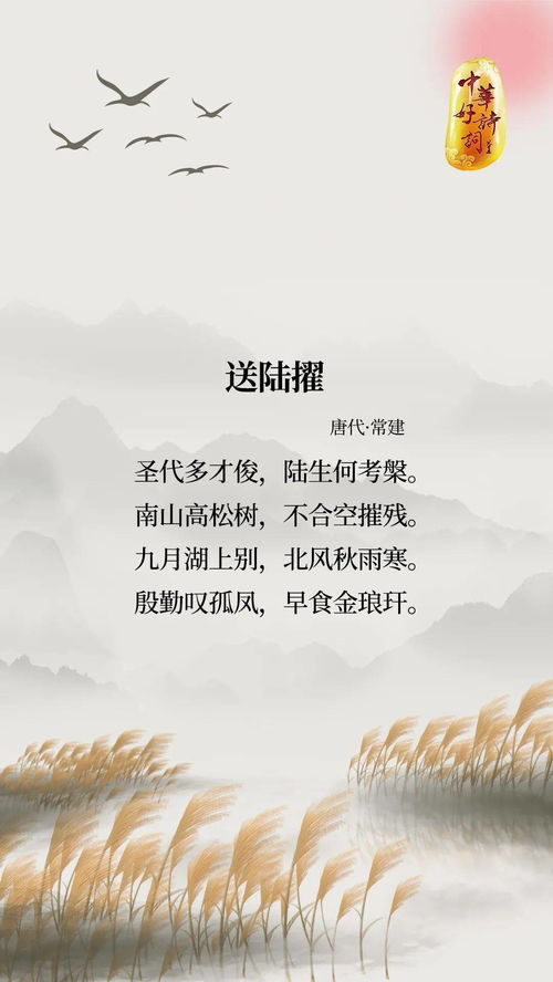 詩句,最長,于月