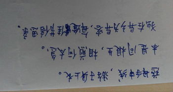 關于家庭親情的古詩句