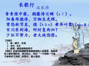 古詩(shī)75首的詩(shī)句,古詩(shī)75首思鄉(xiāng)詩(shī)句,關(guān)于丁香的詩(shī)句古詩(shī)75首