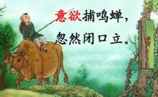 描寫兒童天真可愛的古詩還有哪些,我知道描寫兒童天真可愛的古詩還有哪些?,描寫兒童天真可愛的句子還有哪些?