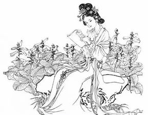 賤人,詩句