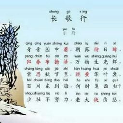長(zhǎng)歌行古詩(shī)句