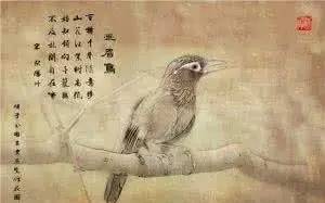 畫眉,詩句,男人