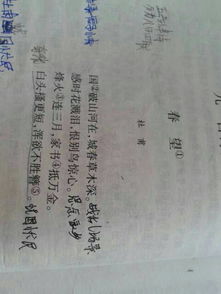 初一初二關(guān)于橋的詩句