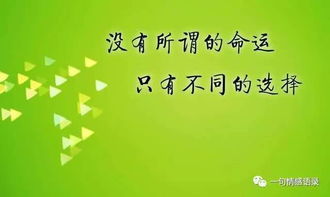 關(guān)于失敗后勵志的詩句,失敗了站起來的勵志詩句,考試失敗后的勵志詩句