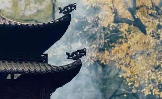 等他,詩句,回來