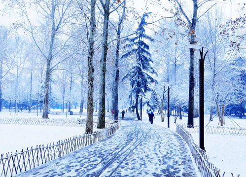 描寫雪景抒情的古詩(shī)句