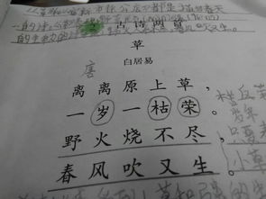 日字在古詩中當(dāng)時候的意思講的詩句